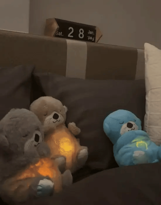 CalmCuddle